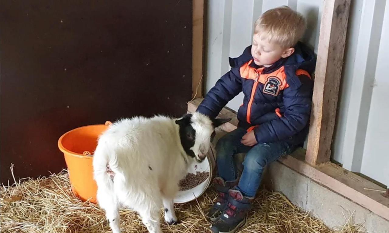 Vakantieboerderij Huize Nuis Noordbeemster Zewnętrze zdjęcie