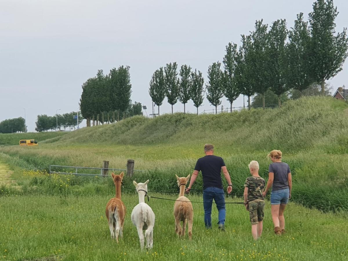Vakantieboerderij Huize Nuis Noordbeemster Zewnętrze zdjęcie