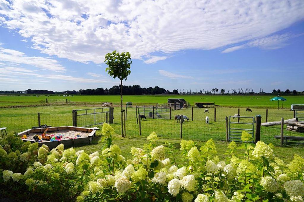 Vakantieboerderij Huize Nuis Noordbeemster Zewnętrze zdjęcie